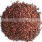 Grape Seed Extract