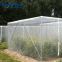 greenhouse used nylon cover mesh / insect prevent hat