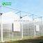 Agricultural Polycarbonate greenhouse design with hot galvanized steel frame