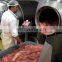 GR-2000 meat fish chicken vacuum marinating rolling and kneading machine