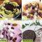 Thailand Square Pan Round Circle Pan Roll Ice Cream Machine Ice Cream Roll Making Machine