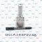 DLLA143P2248 Euro 5 spraying nozzles DLLA 143 P2248 DLLA 143P2248 diesel injector pump nozzle for 0445120267
