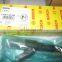 original Fuel Injector 04290986 0445120066 common rail injector 20798683 0 445 120 066