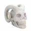Titan Skulls
