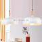 New style simple high quality pendant lamp modern style