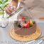 Cake Stand with glass Dome Serving Platter Tray Round Cake Stand bamboo