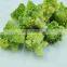 Sinocharm 2022 New Season BRC A Approved IQF Frozen Romanesco