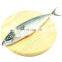 Whole Round Pacific Mackerel Fish Chub Mackerel Scomber Japonicus