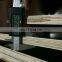 Film For Lamination Concrete Formwork Laminated Birch Film Faced  Plywood for Formwork