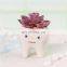 Fashion Garden Decor Succulent Planter Home And 2021 Guangdong Flower Pots Planters Potted Faux Plants Cute Tooth Shape Pot