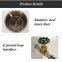 High temperature constant temperature circulating water oil bath