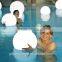 LED light ball with remote control B005
