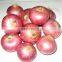 Red, yellow and white onion