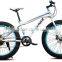 26 inch beach cruiser bike / fat bike / 4.0 tyre / 21 speed cruiser bicycle