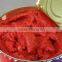 2200g tomato paste sell in africa