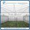 Sp-P-C-8-H Multi-Span PC Sheet Horticultural Greenhouse