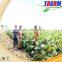 Farm seed planter 2AMSU improved cassava planter/combine cassava planting machine for sale