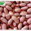 2014 crop Shandong peanut