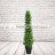 Artificial Buxus Tree