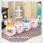 Ceramic Condiment Set Popular Condiment Dispenser Design