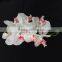 artificial real touch orchid