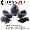 ZPDECOR No.1 Supplier in China Size From 6''-8'' Factory Exporting Wholesale Fashion Dyed Black Ostrich Feathers Plume