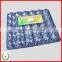 high quality plastic egg packaging tray in PET material