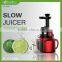 Low RPM electric motor slow juicer