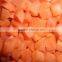 China Hot sale IQF Frozen diced carrot