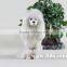 White Stuffed Plush Lifelike Dog Soft Toy