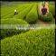 90%min Water soluble humic acid