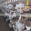 pigeon feeder two box