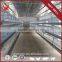 Most Popular Products Automatic Chicken Cage For Poultry Farm For Nigeria