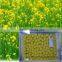 Mixed Pollen Granules for Bee