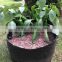 garden fabric pot Garden Flower Planter Pot hydro for flower system smart non woven plant bag (1 gal to 1200 gal)