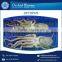 Fresh Frozen Seafood Octopus Available in Various Size