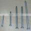 Galvanized Concrete Nails with Factory Price
