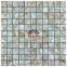 Honed Mesh Back Shell Mosaic Wall Decoration