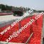 Tomato Paste Production Line with treatment capacity 350tons per day