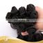 Wholesale Double Drawn New Style Arrival virgin rose curl hair