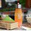 H2O 650ml Water Bottle Plastic Fruit Bottle Drink Outdoor Sports Juice lemon Cup