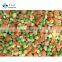 Sinocharm BRC A Certified Classic IQF Frozen Mixed 3 Vegetables