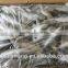 BQF Whole Round big eyes horse mackerel with size 50 - 70 g