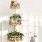 Hot Sale Natural Water Hyacinth 3 Tier Hanging Fruit Basket, Hanging Plant Basket Cheap WHolesale