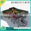 Commercial Trampoline park jungle gym, kids outdoor/indoor trampoline equipment