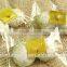 self adhesive custom printing cupcake plastic opp bag
