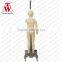 Lowest Price Kids Asia Standard Size Vintage Adjustable Mannequin