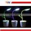 Pen container high photosynthetic efficiency desk lamp
