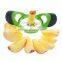 cuts through the apple,apple corer,Divider,apple wedger