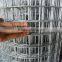 Manufacture supply holland wire mesh/chicken fence/fence mesh